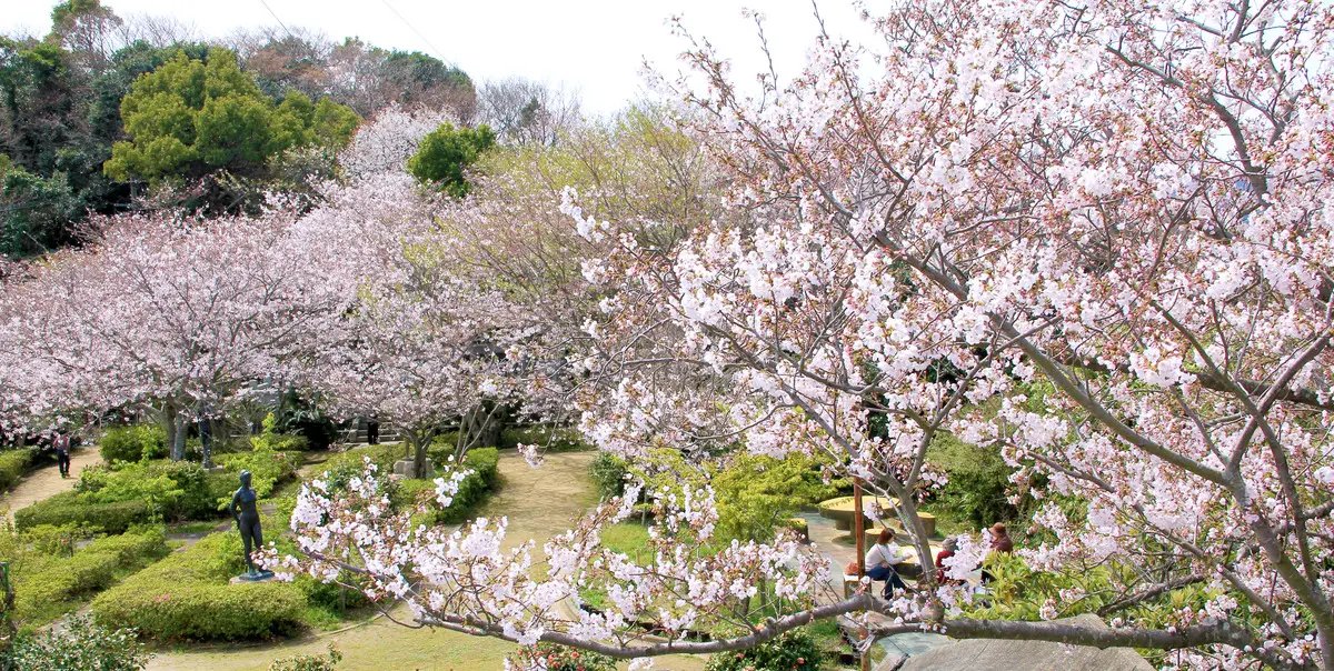 🏞️ 묘켄산 공원 이미지 2